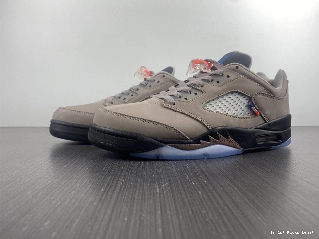 x Jordan Low 5 PSG DX6325-204 Air 0823